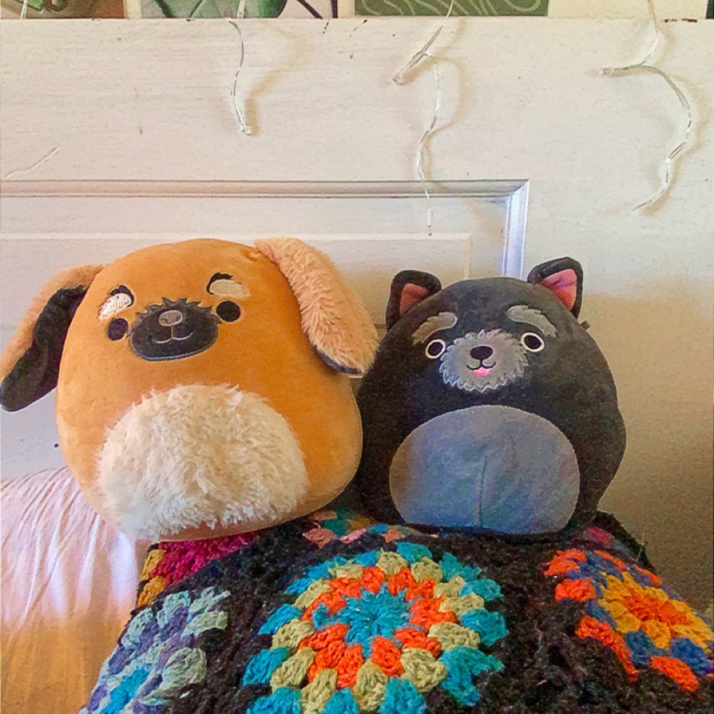 2 squishmallows